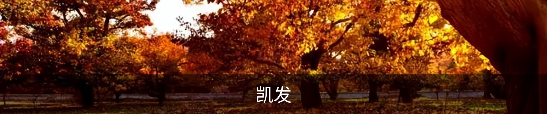 凯发