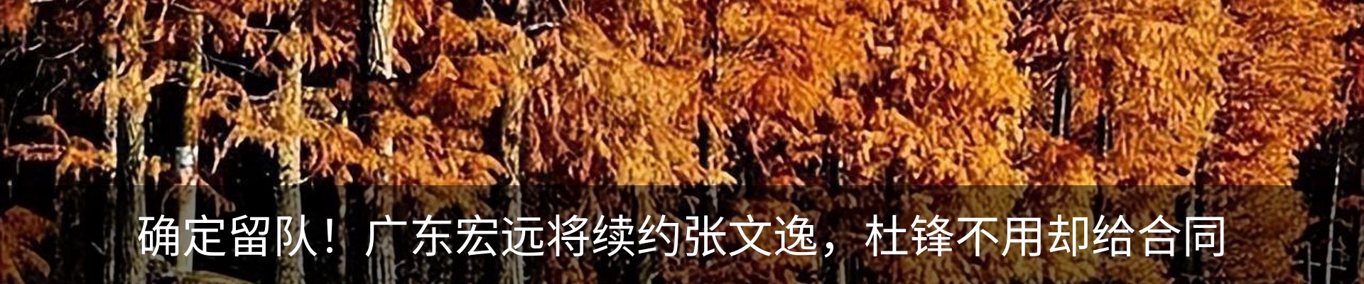 行业资讯